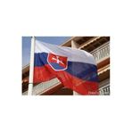 Slovakya Bayrağı (50x75 cm)