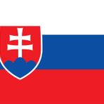SLOVAKYA ÜLKE BAYRAĞI 45x30CM DUVAR TABLOSU ÇERÇEVESİZ PVC TABLO