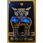Sm Motors Diadem Ampul 12 V 2 Adet SMDİ1