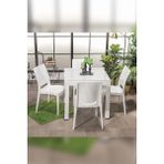 Small Camlı Beyaz Masa Takımı Bahçe&balkon 1 Camlı Masa + 4 Sandalye