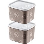 Smartware 2'li Set No Frost Saklama Kabı Terra 1250 ml
