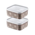 Smartware 2'li Set No Frost Saklama Kabı Terra 700 ml