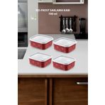 Smartware 4'Lü Set No Frost Saklama Kabı Carmen 700 ML