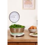 SMEG Mutfak Tartısı Pastel Yeşil