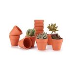Smyrna Garden Terracotta Saksı / 10 Tane / Çömlek Saksı / 6 cm Boy / 6,5 cm Çap / Iskandinav / Dekoratif