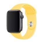 Snexpres Apple Watch Uyumlu 42MM Silikon Kordon-Sarı