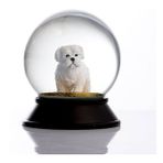 Snoowg Cam Ve Reçine Altın Patiler Köpek Maltese Terrier Kar Küresi Hediye