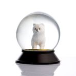 SNOOWG Cam Ve Reçine Altın Patiler Köpek Pomeranian Boo (Beyaz) Kar Küresi Hediye