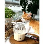Snow Homs 2 Adet Mika Plastik Oval Kapaklı Isıya Dayanıklı Pinterest Bardak | Kahve ve Sunum Bardağı| 430 ml - Şeffaf