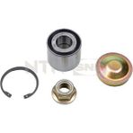 Snr R15558 Arka Teker Rulmanı 25X55X43 Kit Kng 97 Exp 85 98 Lgn 94 Clıo Iv