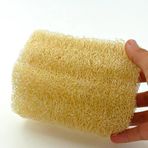 Soap Doğal Kabak Bulaşık Süngeri 10 Cm Doğal Lifler Anti-Bakteriyel 1 Adet