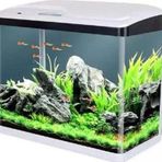 Sobo 60x23x55 cm Beyaz Komple Akvaryum