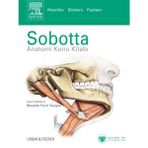 Sobotta Anatomi Konu Kitabı - Friedrich Paulsen Jens Waschke Tobias M. Böckers