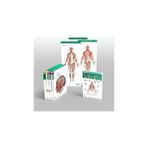 Sobotta Atlas Of Anatomy, 4 Volume Set 17th Ed.,