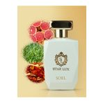 Soel Parfüm Star Lux EDP 100 ML Erkek Parfümü
