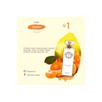 Soel Parfüm U1 Gumin EDP 50 ml Unisex Parfüm