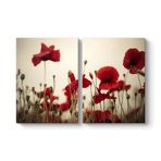 Soft Gelincik Tablosu 103 x 70-2 Parçalı