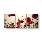Soft Gelincik Tablosu 156 x 70-3 Parçalı