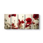 Soft Gelincik Tablosu 162 x 70-5 Parçalı