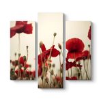 Soft Gelincik Tablosu 96 x 90-3 Parçalı