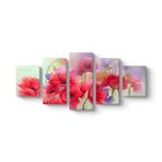 Soft Gelincikler Tablosu 127 x 56-5 Parçalı