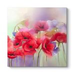 Soft Gelincikler Tablosu 80 x 80