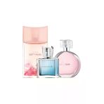 Soft Musk & Wish Of Love & Perceive Üçlü Kadın Parfüm Seti