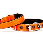 Softlu Köpek Boyun Tasması 1,5 cm x 35 cm Tcu