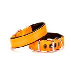 Softlu Köpek Boyun Tasması 2 cm x 40 cm Tcu