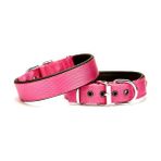 Softlu Köpek Boyun Tasması 3 cm x 55 cm Mor