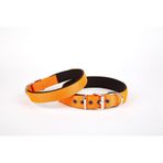 Softlu Köpek Boyun Tasması 3 cm x 55 cm Tcu