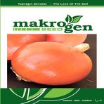 Soğan Tohumu -Aypare-Makrogen-10 Gr