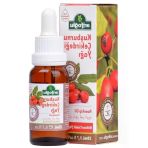 Soğuk Sıkım Kuşburnu Çekirdeği Yağı - 20Ml