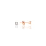 Söğütlü Silver SGTL10461ROSE Gümüş Mini Tek Taş Gümüş Küpe