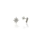 Söğütlü Silver SGTL4068 925 Ayar Gümüş Mini Kutupyıldızı Küpe