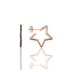 Söğütlü Silver SGTL9827 Star Gümüş Küpe