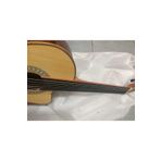 Solares SCRK-100CEQ Perdesiz Elektro Klasik Gitar