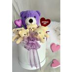 SOLE Premium Özel Hediye Kutusunda 25 cm Lila Ayıcık ve 5 adet Krem Peluş Minik Ayıcık Buketi