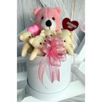 Sole Premium Özel Hediye Kutusunda 25 cm Pembe Ayıcık ve 5 Adet Krem Peluş Minik Ayıcık Buketi