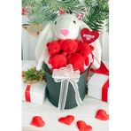 SOLE Premium Özel Hediye Kutusunda 45 cm Beyaz Bunny Tavşan ve 5 Adet Kırmızı Peluş Ayıcık Buketi Kırmızı