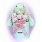 SOLE Premium Özel Hediye Kutusunda 45 cm Beyaz Bunny Tavşan ve 5 Adet Kırmızı Peluş Ayıcık Buketi Pembe