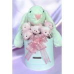 SOLE Premium Özel Hediye Kutusunda 45 cm Beyaz Bunny Tavşan ve 5 Adet Kırmızı Peluş Ayıcık Buketi Pembe