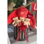 Sole Premium Özel Hediye Kutusunda 45 Cm Mercan Bunny Tavşan Ve 5 Adet Krem Peluş Ayıcık Buketi