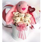 SOLE Premium Özel Hediye Kutusunda 45 cm Pembe Bunny Tavşan ve 5 Adet Krem Peluş Ayıcık Buketi
