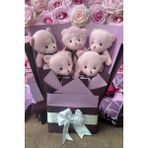 Sole Sevgiliye Özel Pembe - Mor Konsept Romantik Peluş Ayıcık Buketi - 50 cm