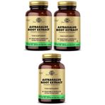 Solgar Astragalus Root Extract 3x60 Kapsül