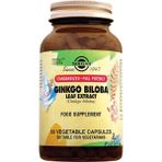 Solgar Ginkgo Biloba Leaf Extract 60 Kapsül (Ginko) - Vejetaryenler İçin Uygun Besin Takviyesi