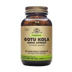 Solgar Gotu Kola Aerial 100 Kapsül