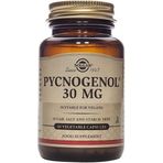 Solgar Pycnogenol 30 mg İçeren 30 Kapsül