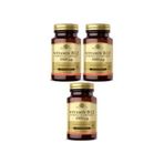 Solgar Vitamin B12 1000 mcg 3x100 Kapsül